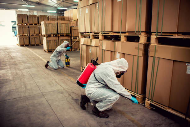 Best Termite Control Services  in Madison, IL