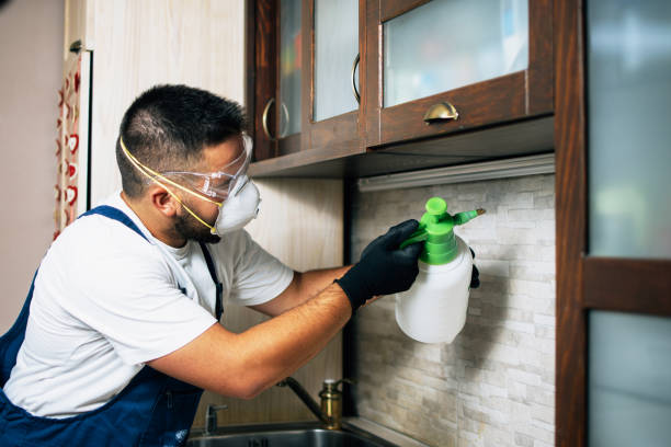 Best Pest Removal Services  in Madison, IL