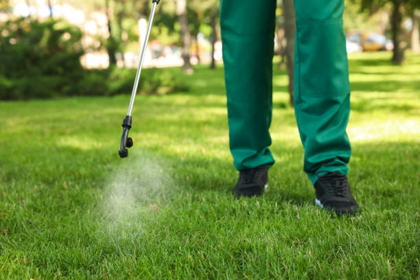 Best Pest Prevention Services  in Madison, IL