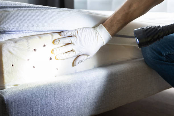 Best Best Pest Control Companies  in Madison, IL