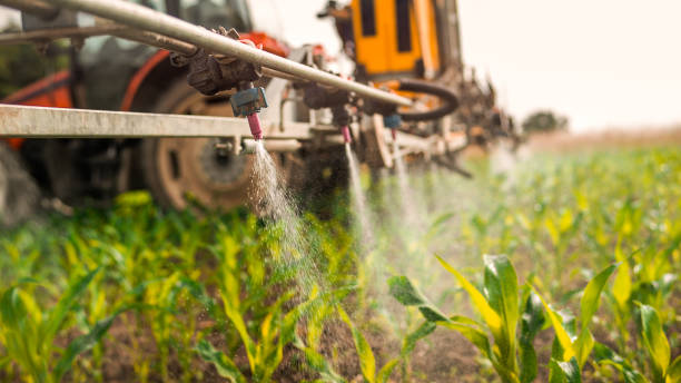 Best Pest Removal Services  in Madison, IL